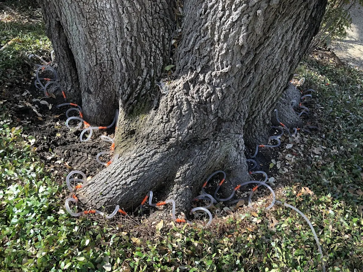 Detailed Shrub and Hedge Trimming job site in Huffman