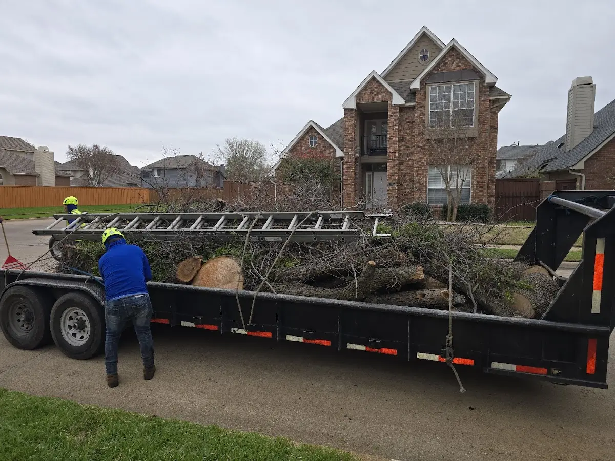 Expert Tree Removal with proper safety equipment in Huffman